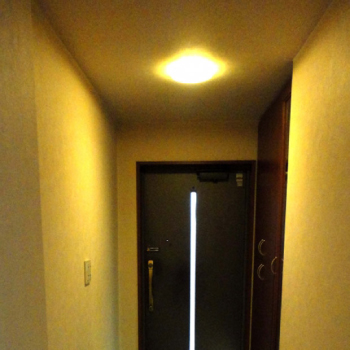 玄関の照明器具のお掃除